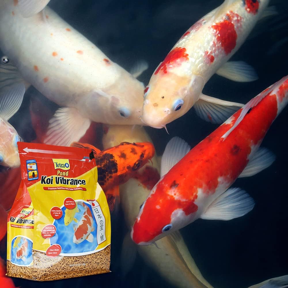 ko2.jpg
